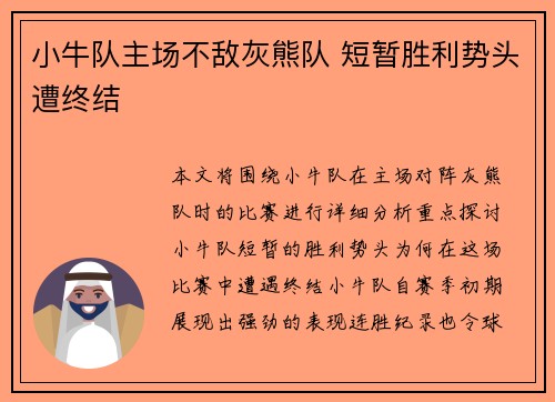 小牛队主场不敌灰熊队 短暂胜利势头遭终结